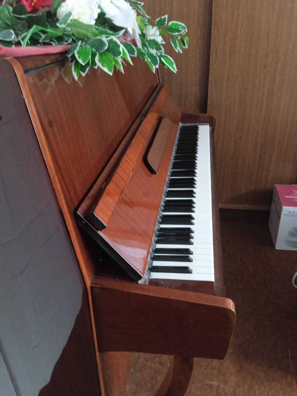 Pianino Czajkowski