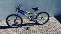 Bicicleta roda 20