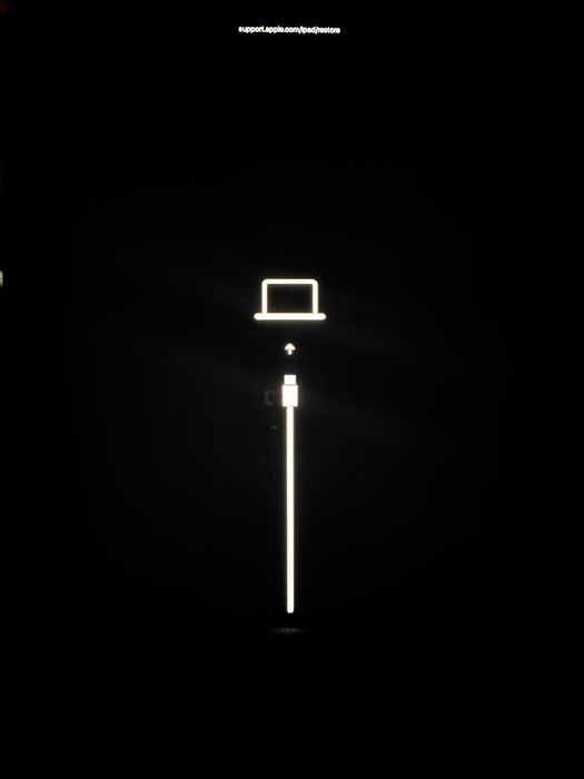 iPad Pro 12,9 256GB 100% kondycji