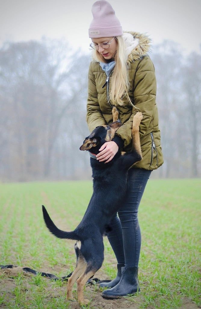 Młody przytulaśny Smyk do adopcji