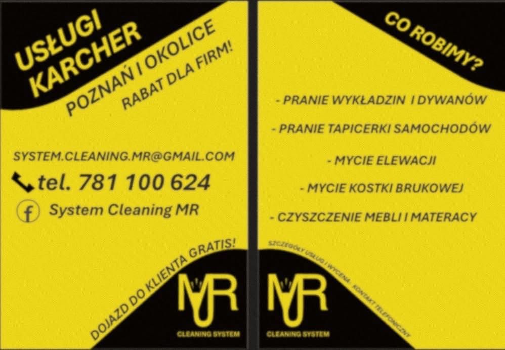 Pranie wykładzin i mebli Karcher, uslugi express