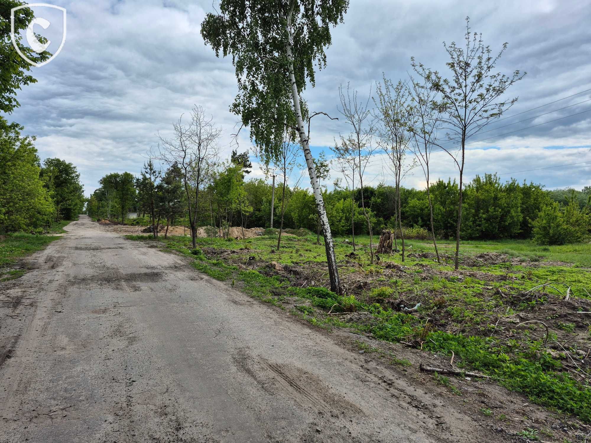 Земельна ділянка 10 соток, с. Нові Петрівці, вул. Лісова