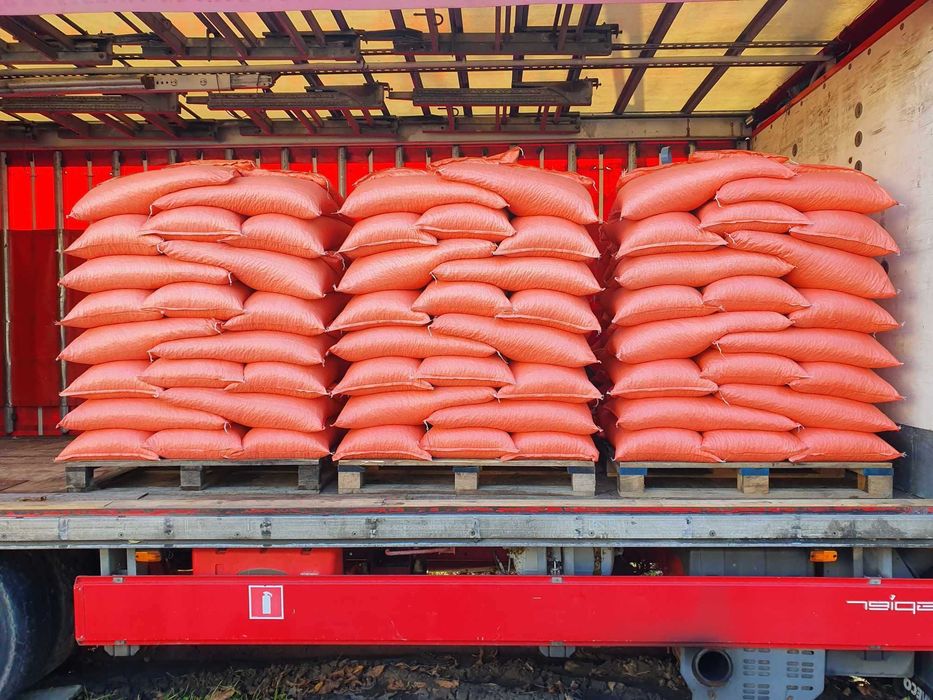 Lucerna Ziarno Nasiona Lucerny Wieloletnia Czyste Nasiona F-RA Dostawa