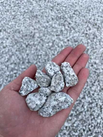 Kamień Ogrodowy Dalmatyńczyk Grys Akwarium Opaska Rabata 8-16 mm