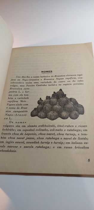 A Rutabaga, Planta Hortense e Forraginosa - Artur Castilho (1943)
