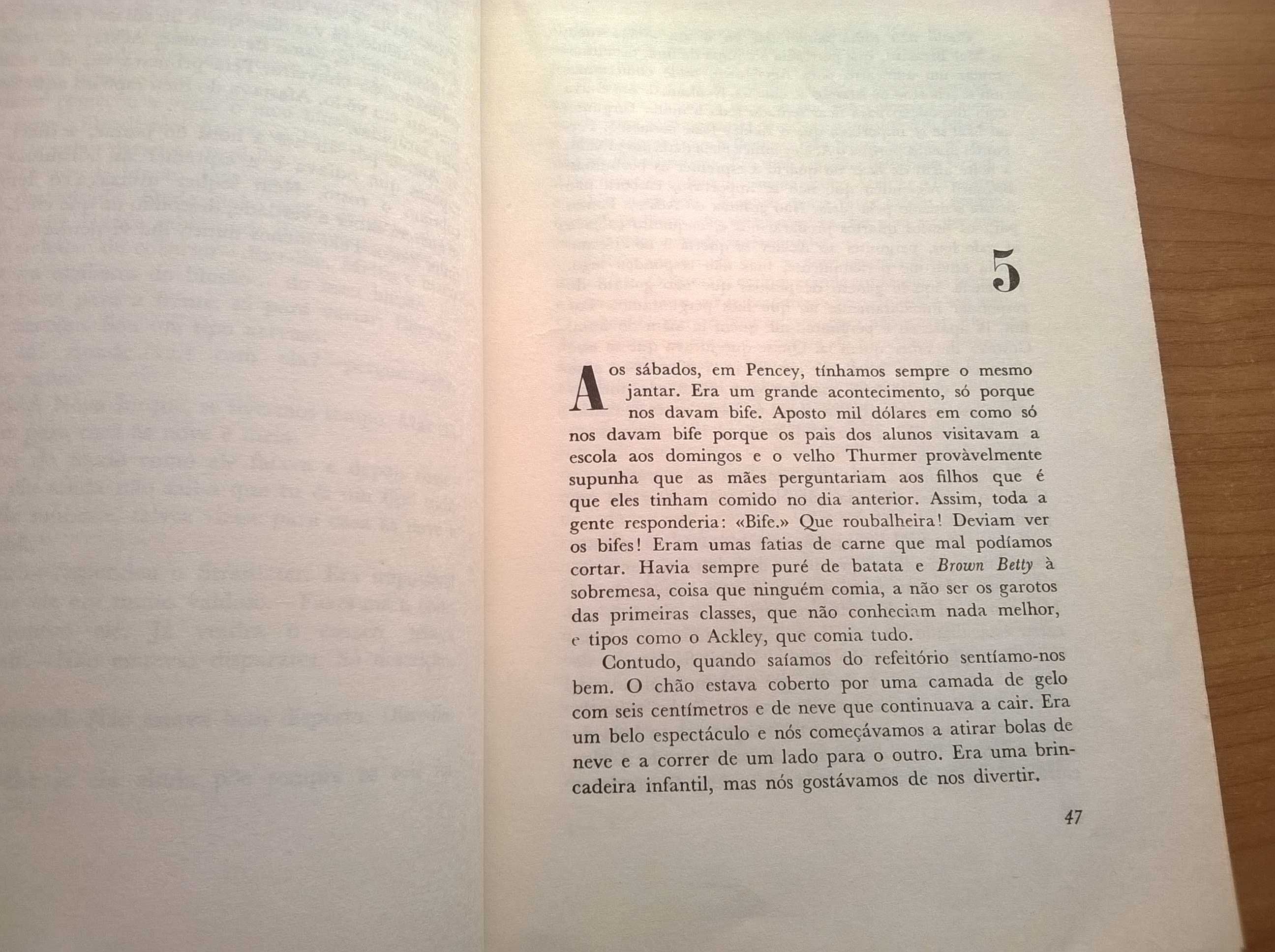 Uma Agulha no Palheiro - J. D. Salinger