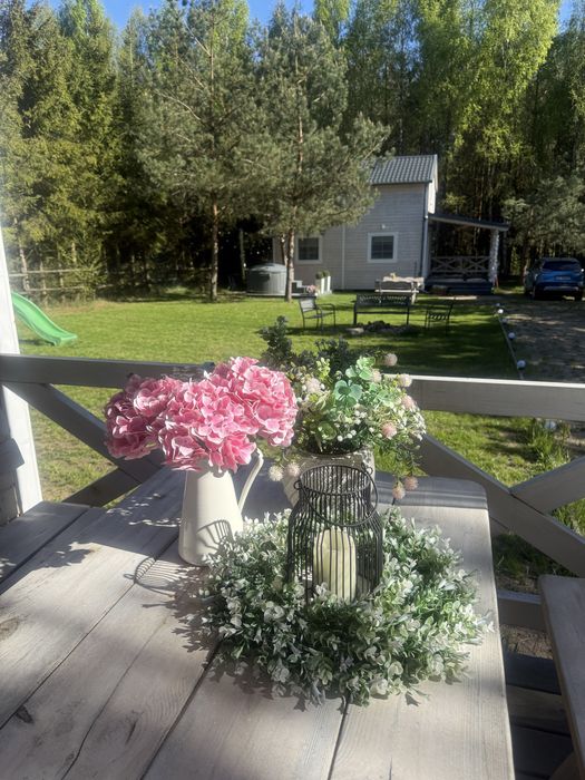 Domki na Kaszubach u Madzi