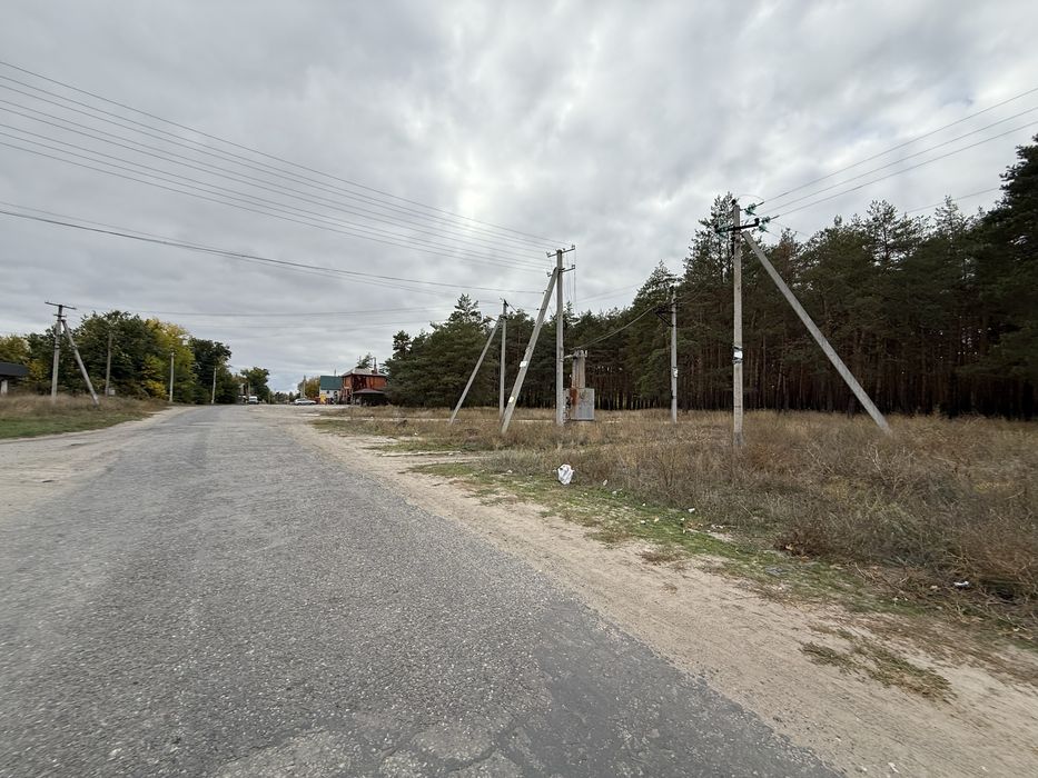 Продам участок с. Орловщина возле соснового леса