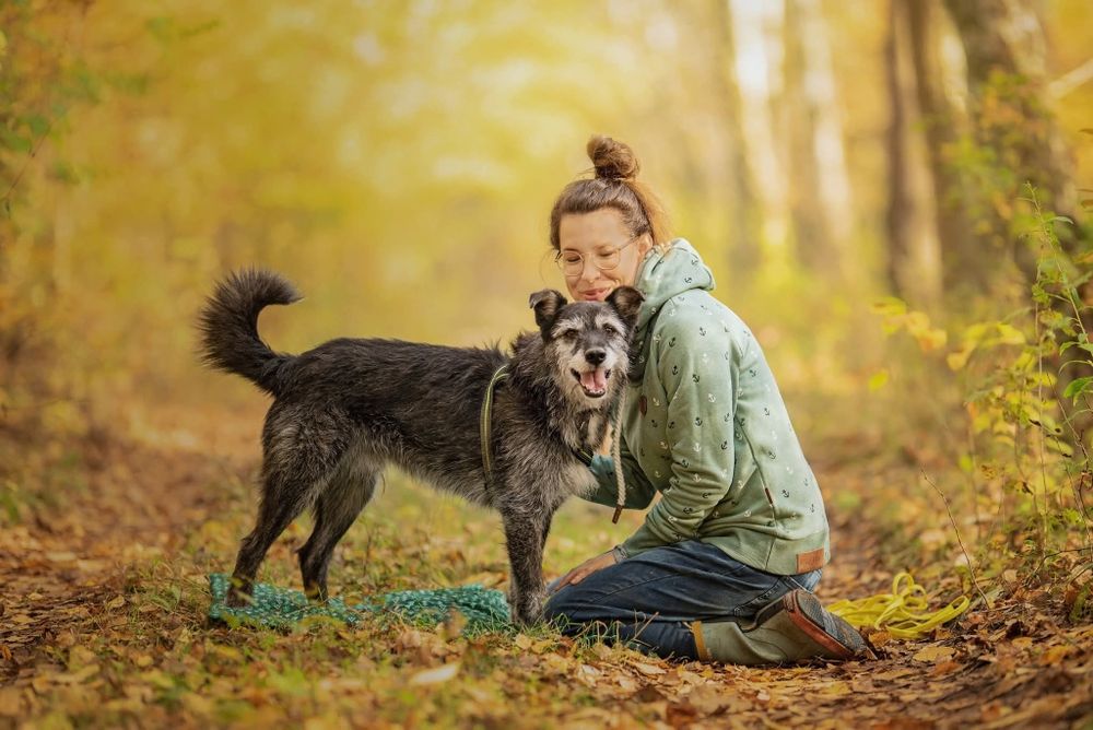 Niewielki Harold czeka na prawdziwy dom