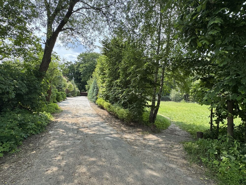 Хотів 21 сотка біля лісу