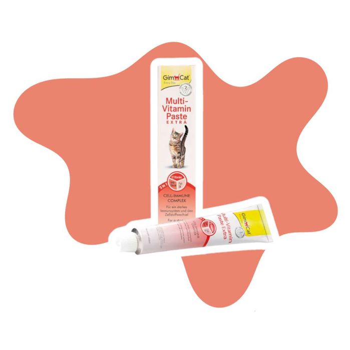 Gimcat Multi-vitamin Extra Paste 100g Pasta witaminowa dla kotów