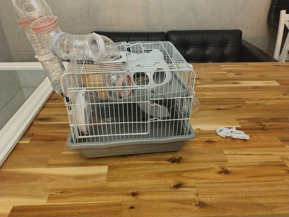 Klatka dla chomika , myszki