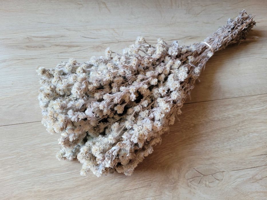 Pęczki suszone bukiety kwiaty / trawy ozdobne / boho