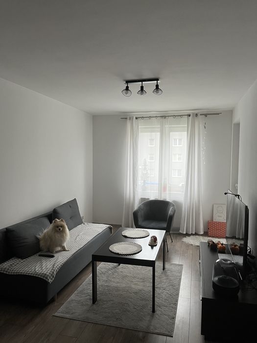 Wynajme mieszanie Rzeszów osiedle Architeltow Podgorska 14