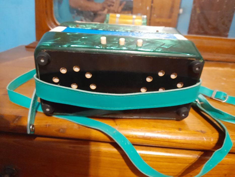 acordeon em bom estado como se encontra-se nas fotografias