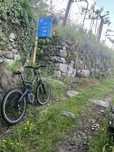 Bike de donwill