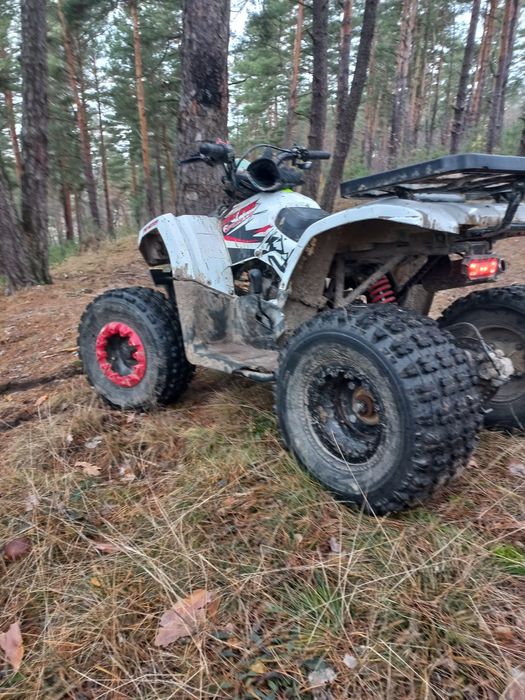 Квадрик форте 125