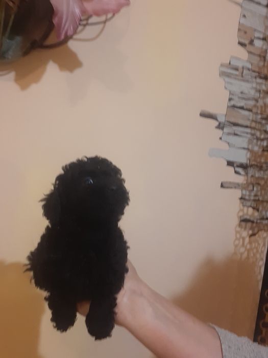 Подрастают мальчики и девочки