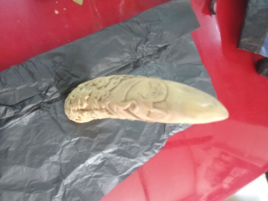 Dente elefante. A evolução da espécie humana.