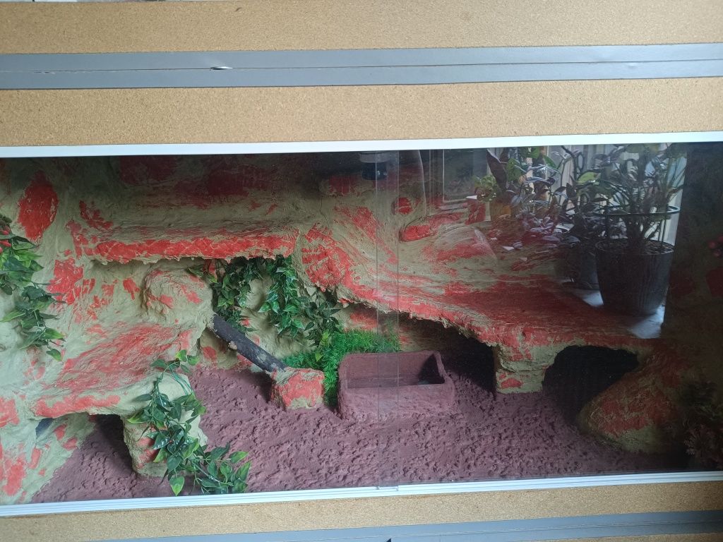 !Mega! Terrarium