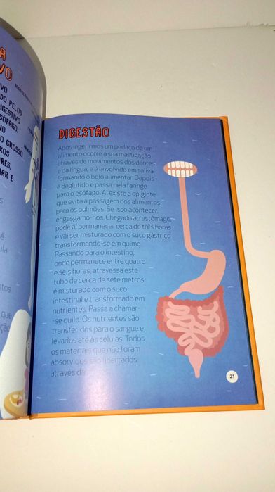 À descoberta do corpo humano