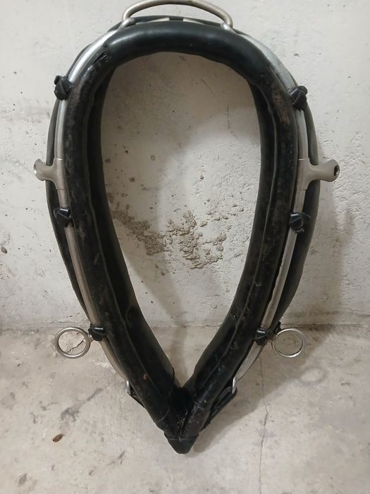 Homonto dla konia kolor czarny