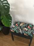 Banqueta Tropical