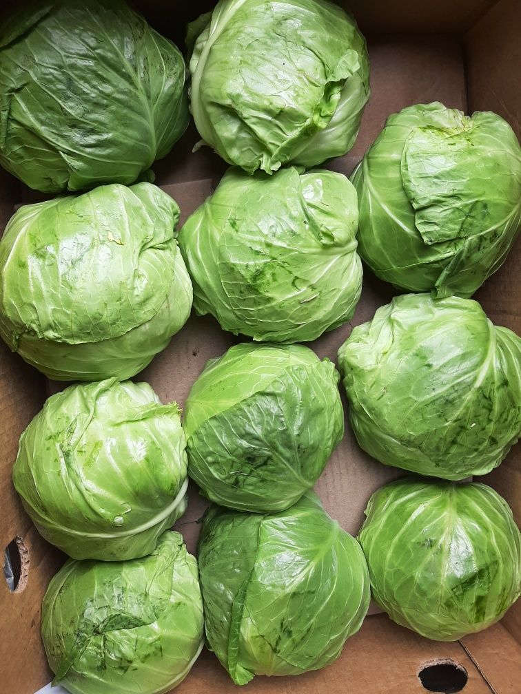 Овочі та продукти з доставкою(картопля)