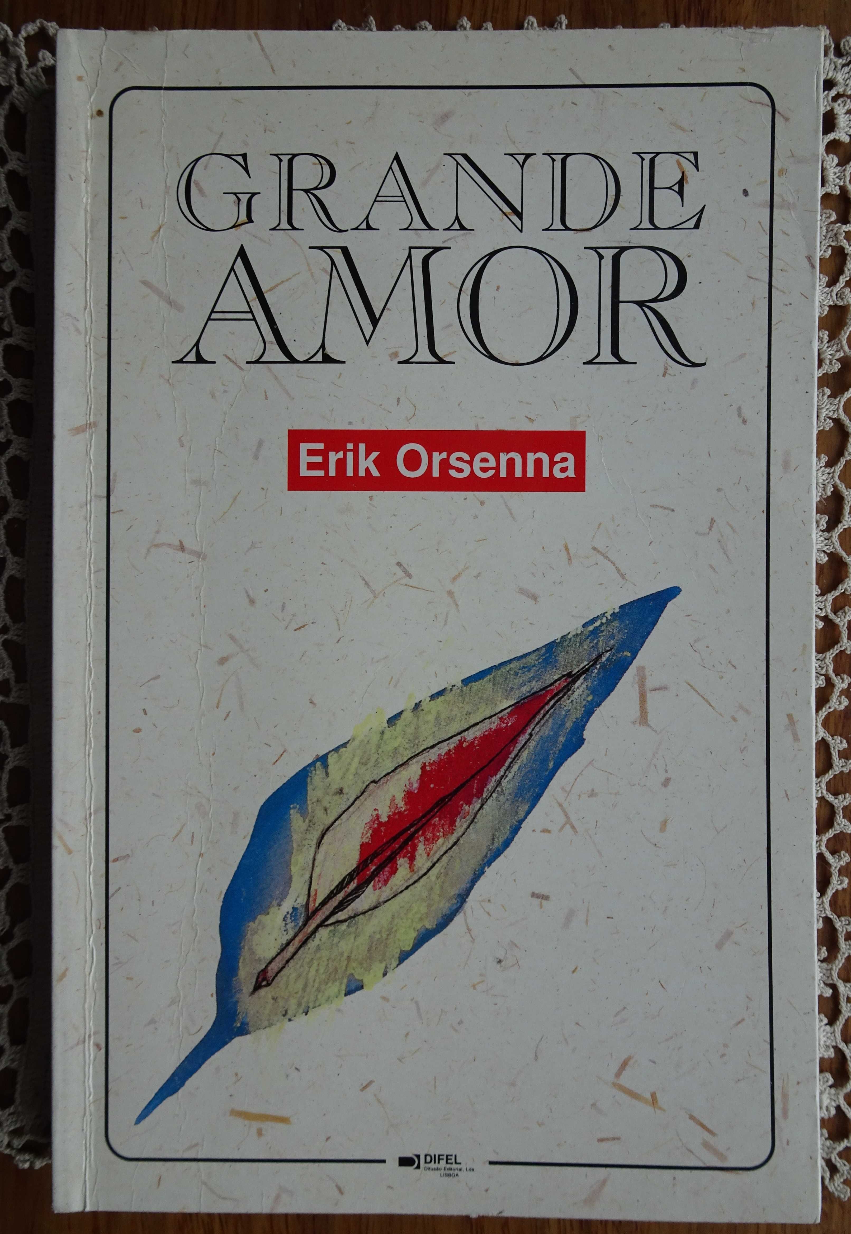 Grande Amor de Erik Orsenna