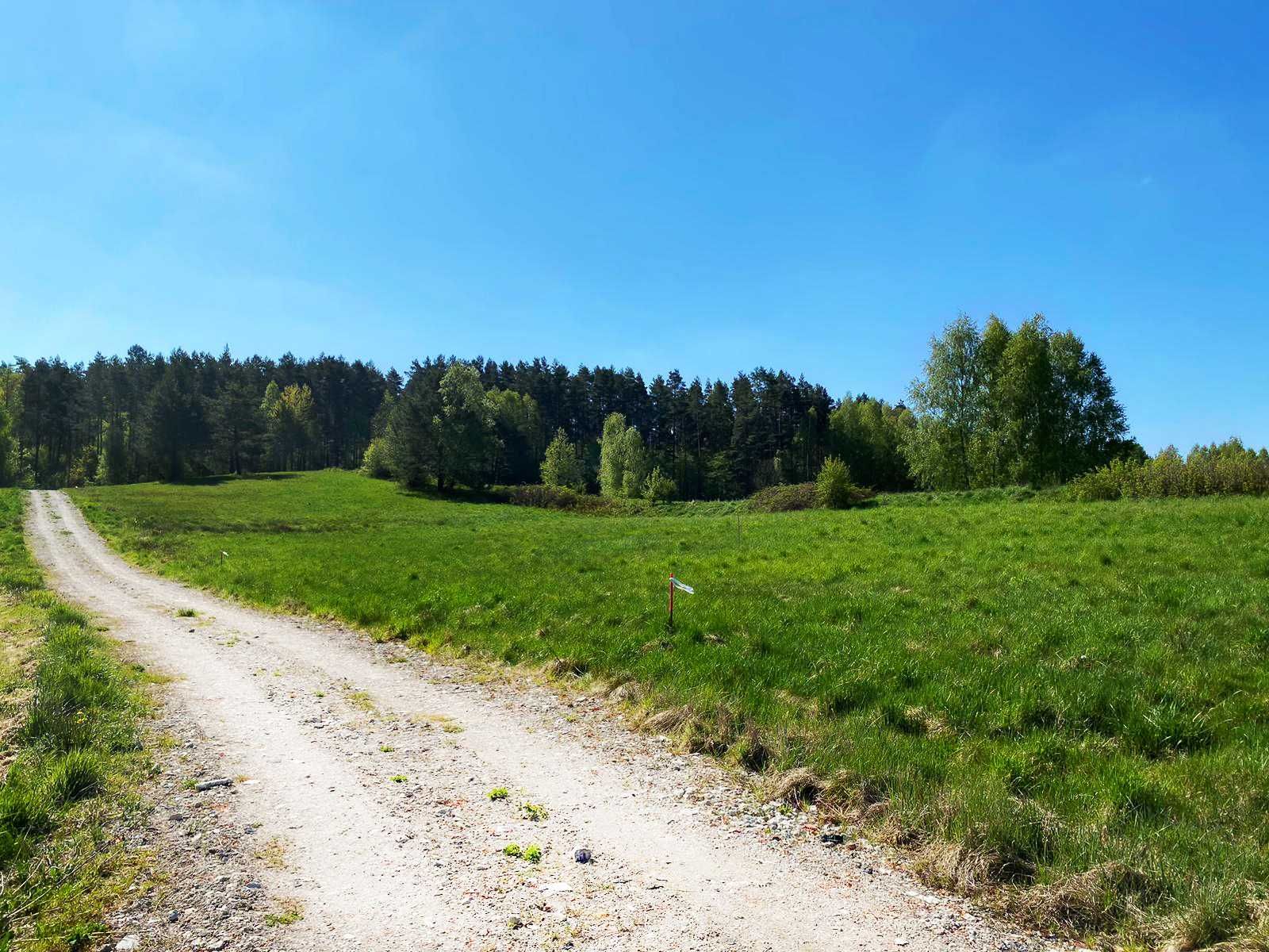 Działka Rekreacyjna, Jezioro, Las, Warmia, Gietrzwałd