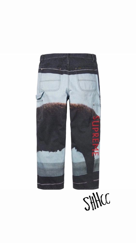 Supreme x Damien Hirst Painter Jean