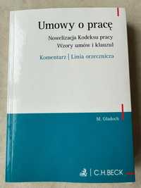 Kodeks pracy 2024 - Umowy o pracę - nowelizacja, wzory umów i klauzul