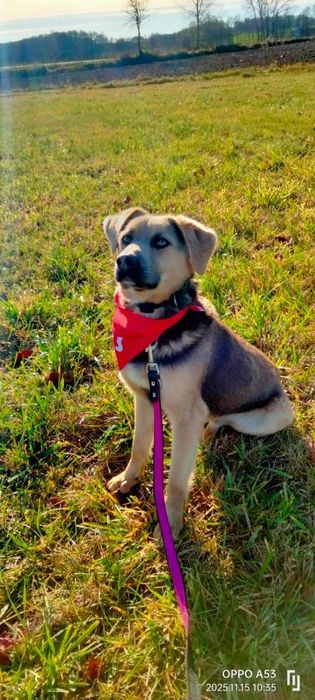 Hasana szuka rodziny