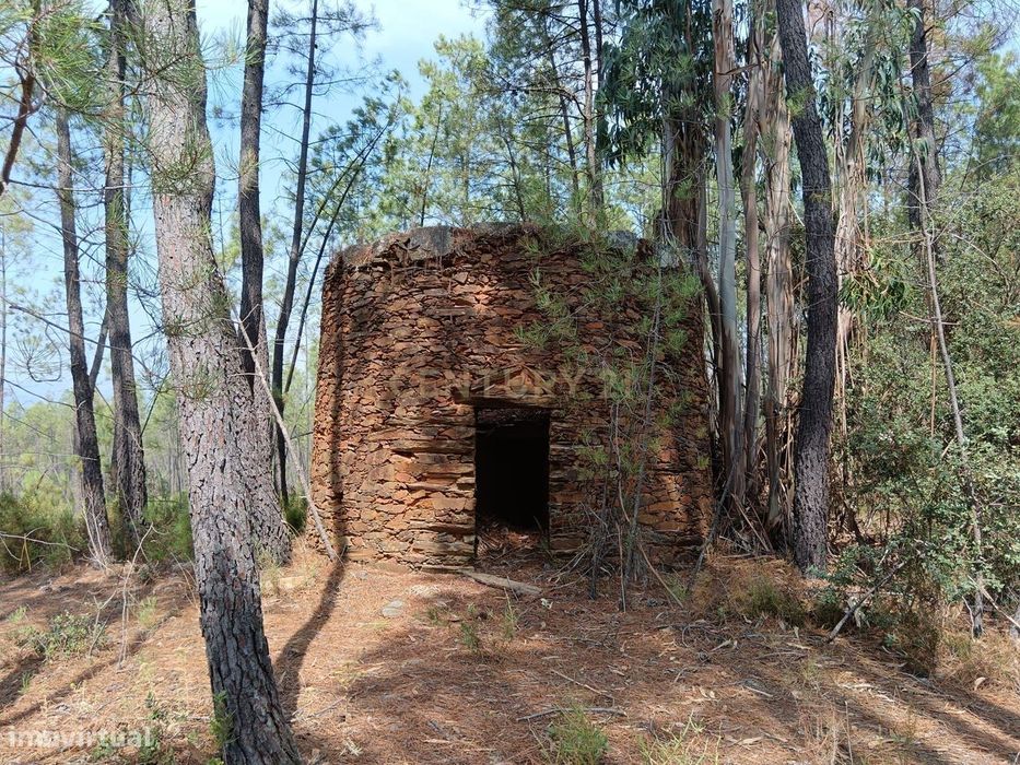 Terreno rustico em Salgueiro do Campo ( Carquejais)