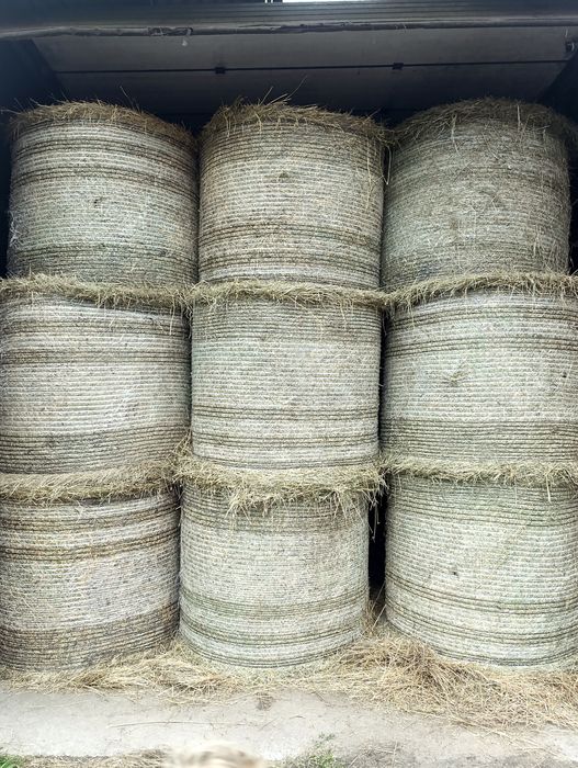 Siano baloty 140x125 z pod dachu zbiór 2025r