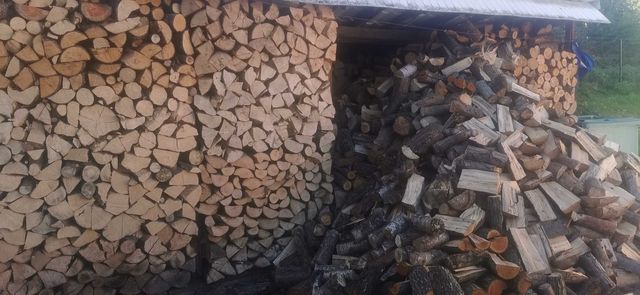 Drewno buk sosna suche sezonowane