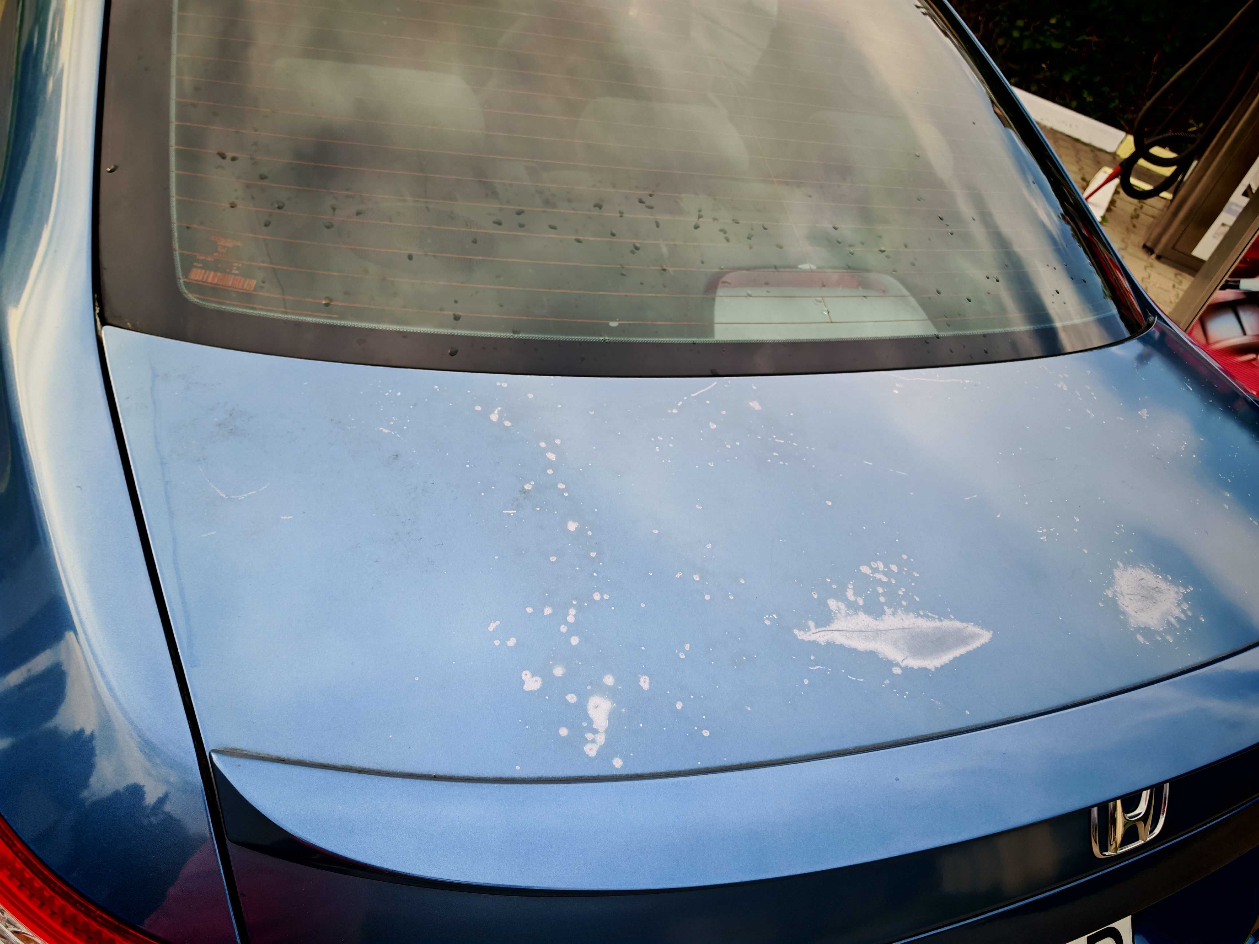 Honda Civic Coupe VIII gen