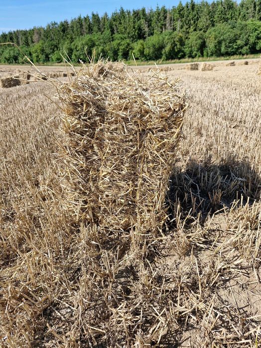 Słoma -mała kostka