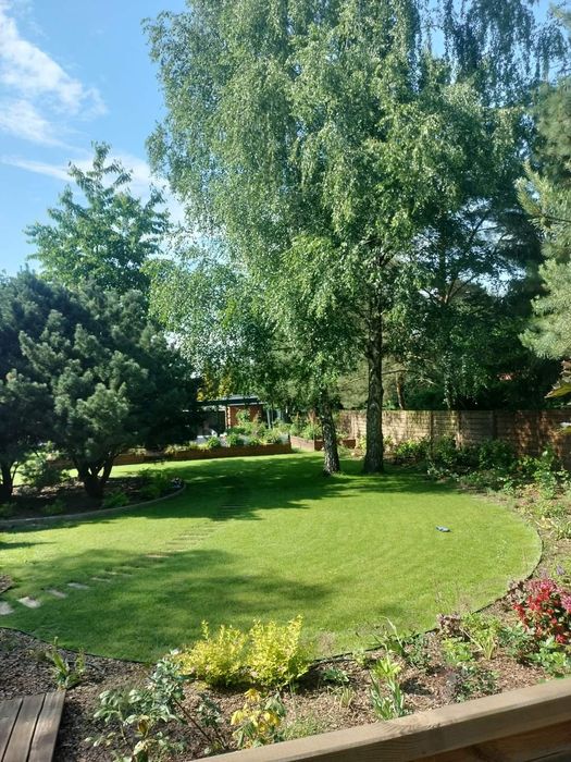 Usługi ogrodnicze miniładowarka wycinka drzew ogrodnik pielęgnacja