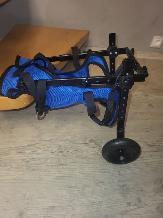 Wózek inwalidzki dla psa na tylne nogi