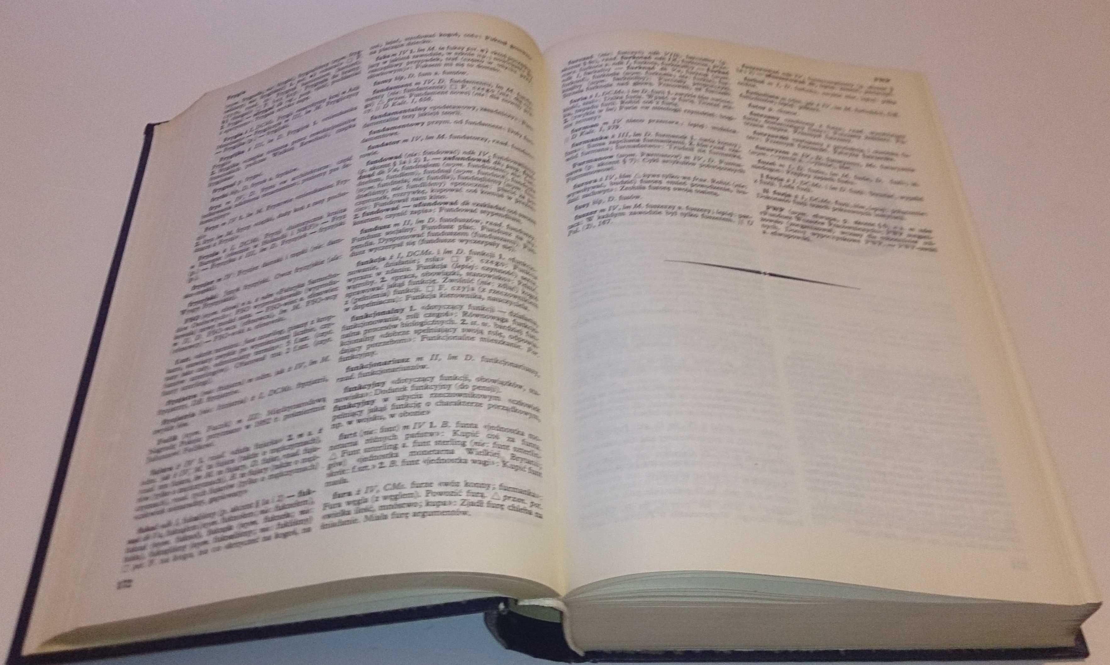PWN „Słownik Poprawnej Polszczyzny” (Książka)