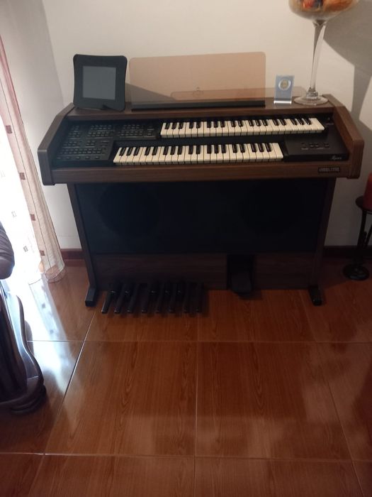 Venda de Órgão usado