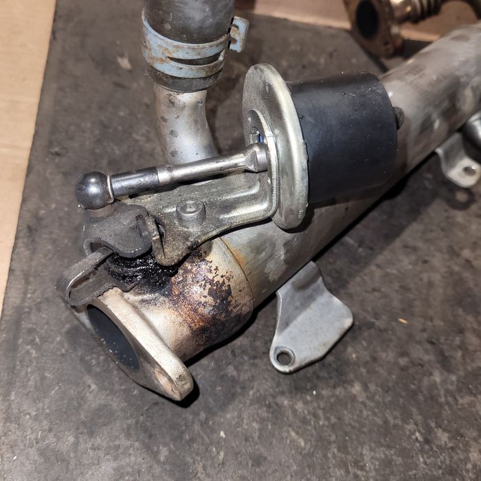 Chlodniczka rurka spalin EGR vw golf VI Touran audi seat skoda 2.0TDI