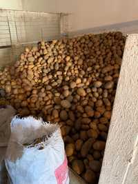 Продам Картопля Гренада, Рів’єра