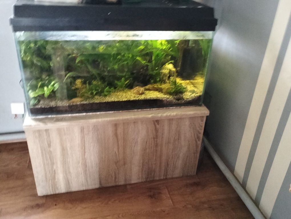 Sprzedam akwarium 200l
