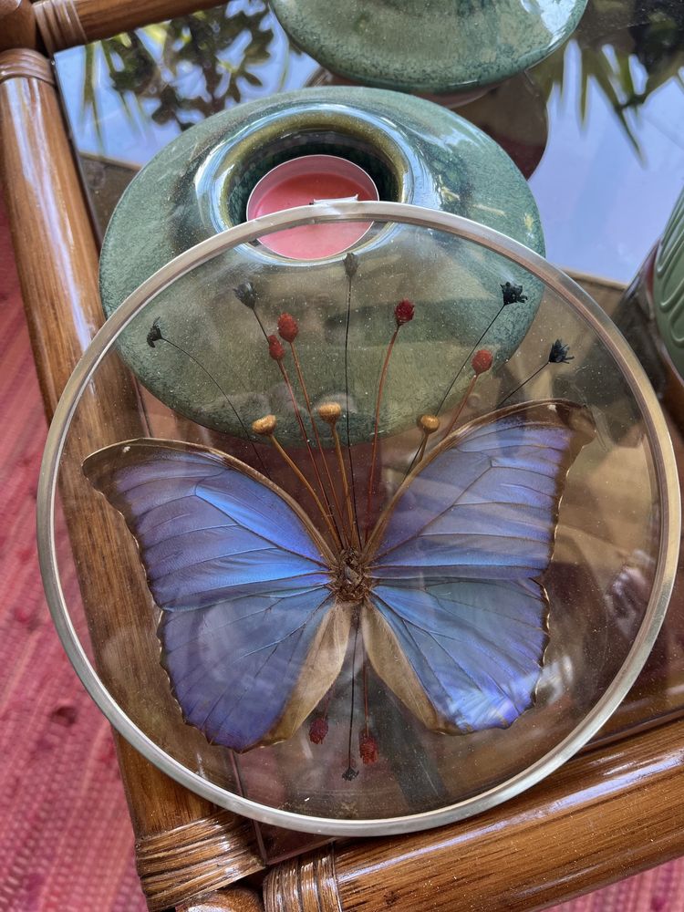 Oculo de vidro temprado com borboleta aro em estanho