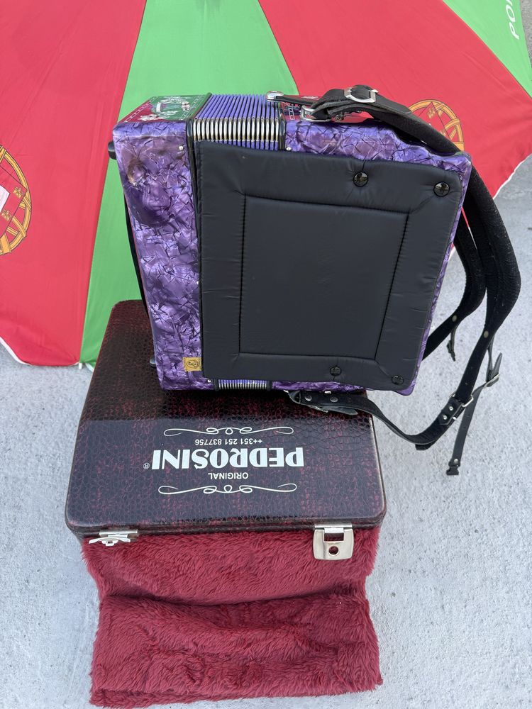 Concertina pedrosini como nova  ( PROPOSTAS )