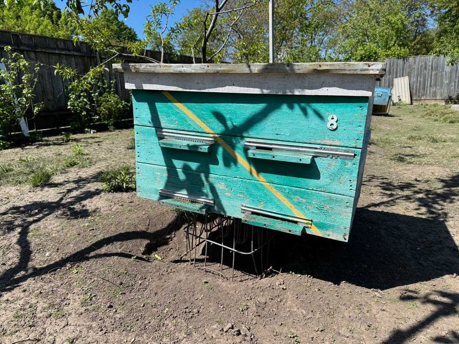 Продам вулики дадан