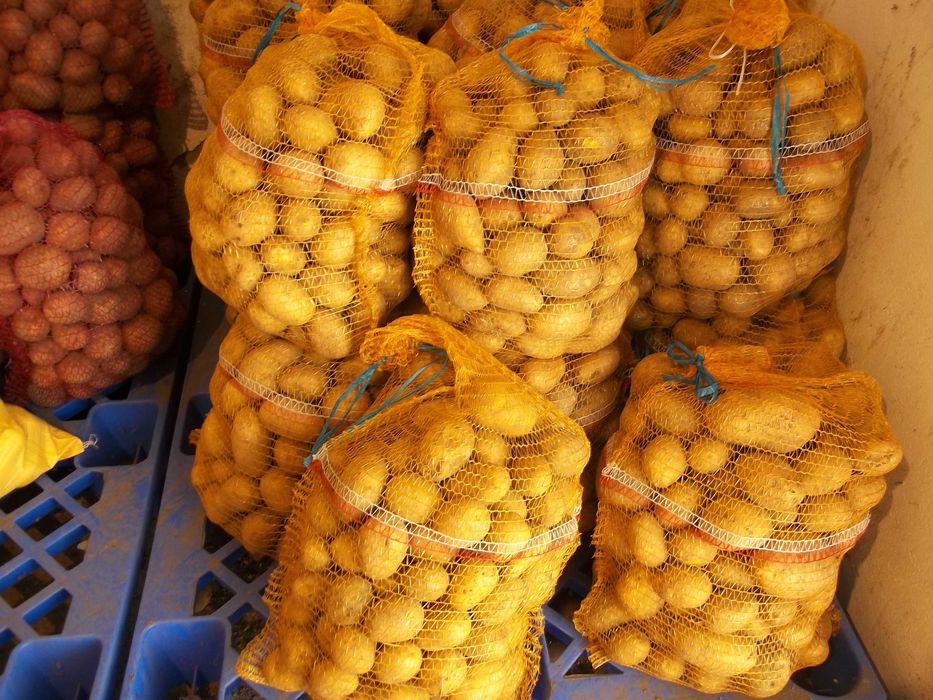 Ziemniaki  Soraya z dowozem gratis Opolskie  . 1,3 zł za kg