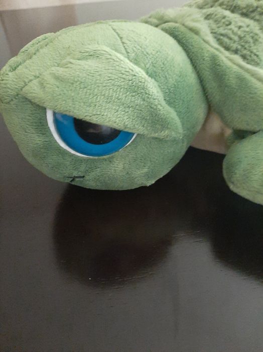 Peluche tartaruga novo